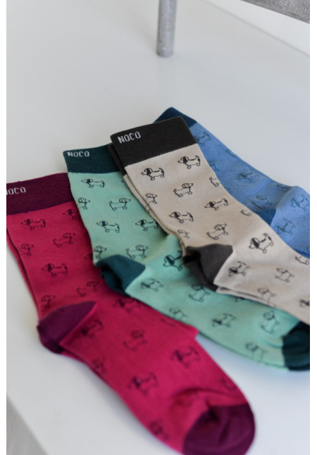 NOCO CALCETINES PERRITOS