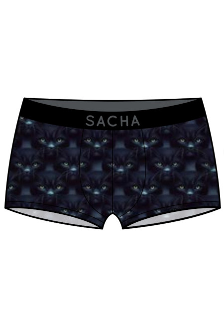 SACHA BÓXER GATOS NEGROS