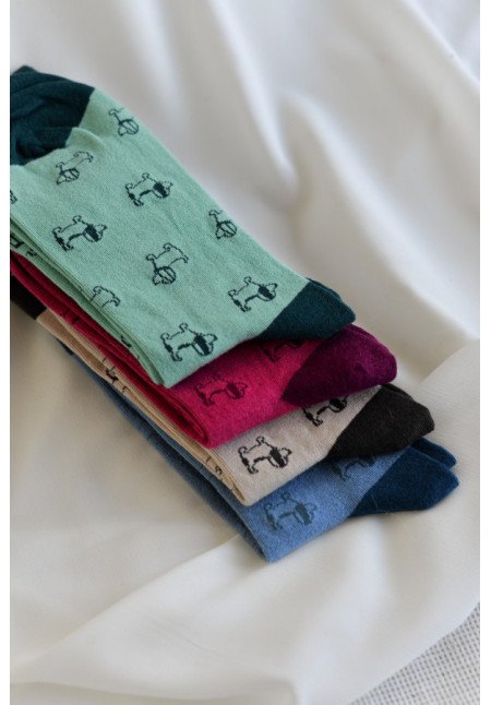 NOCO CALCETINES PERRITOS