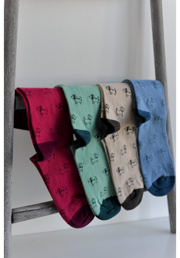 NOCO CALCETINES PERRITOS