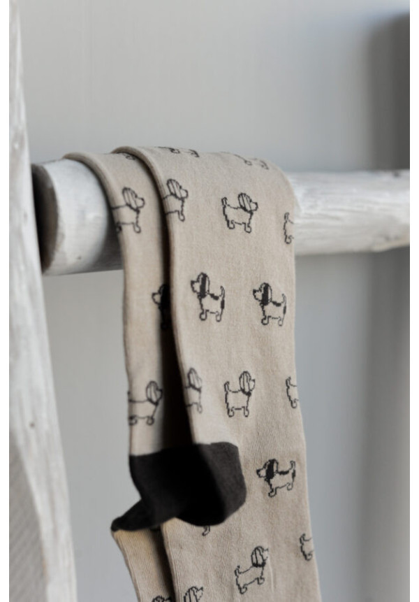 NOCO CALCETINES PERRITOS
